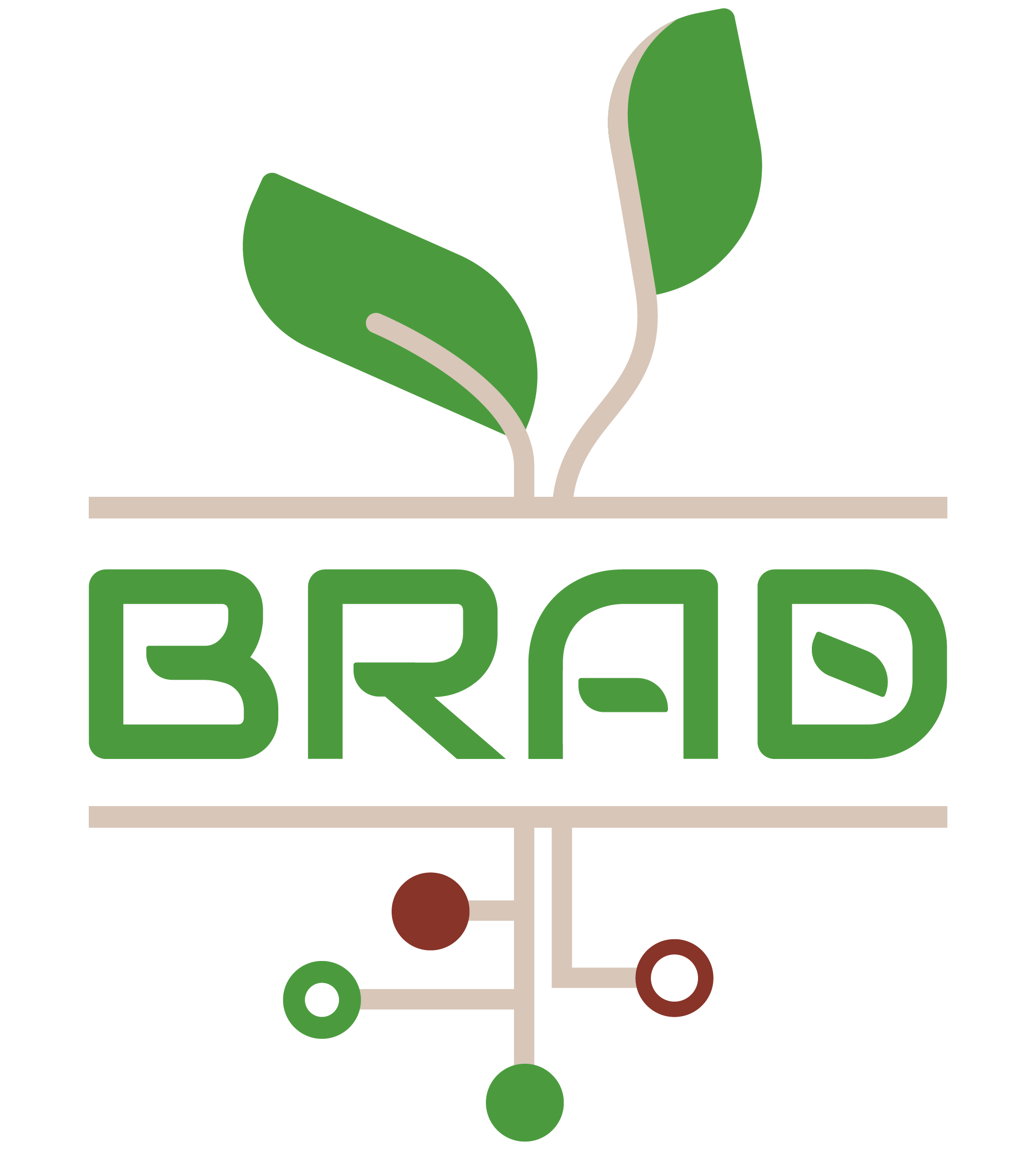 Brad